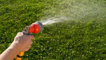 Spring Irrigation Tips for Beautiful and Healthy Lawns
