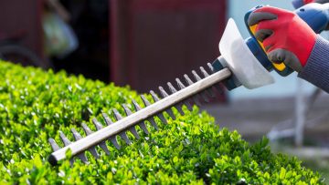 The Proper Way to Trim Your Shrubs and Hedges
